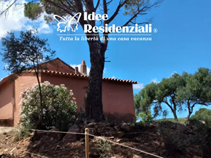 Immagine 4 di Rustico / casale in vendita  in capannaccia a Palau