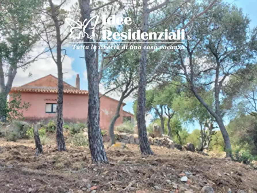 Immagine 5 di Rustico / casale in vendita  in capannaccia a Palau