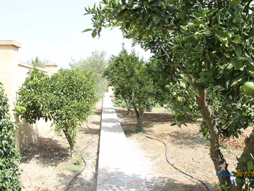 Immagine 32 di Villa in vendita  a Matino