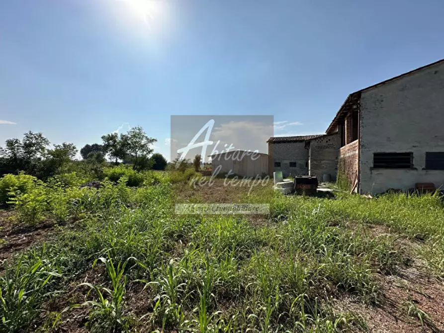 Immagine 4 di Rustico / casale in vendita  in Tombolo a Tombolo
