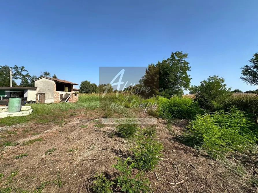 Immagine 6 di Rustico / casale in vendita  in Tombolo a Tombolo