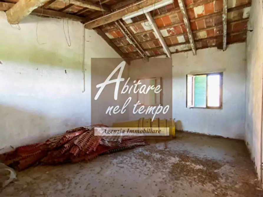 Immagine 10 di Rustico / casale in vendita  in Tombolo a Tombolo