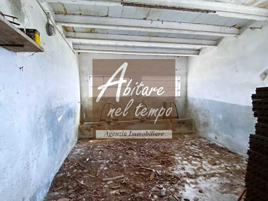 Immagine 12 di Rustico / casale in vendita  in Tombolo a Tombolo