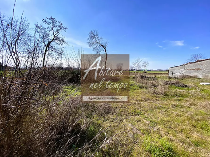 Immagine 17 di Rustico / casale in vendita  in Tombolo a Tombolo