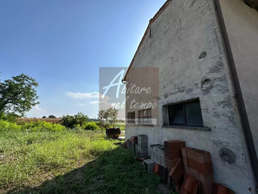 Immagine 19 di Rustico / casale in vendita  in Tombolo a Tombolo