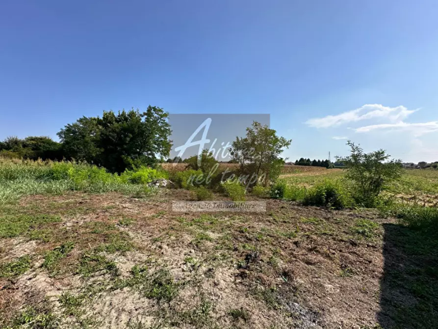 Immagine 27 di Rustico / casale in vendita  in Tombolo a Tombolo