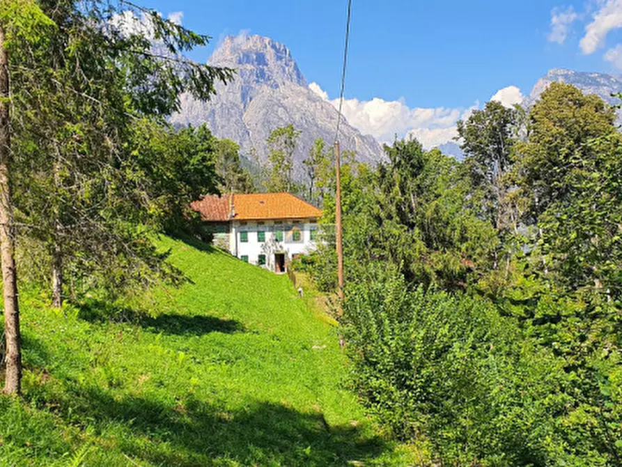 Immagine 1 di Appartamento in vendita  in Località Teli a Rivamonte Agordino