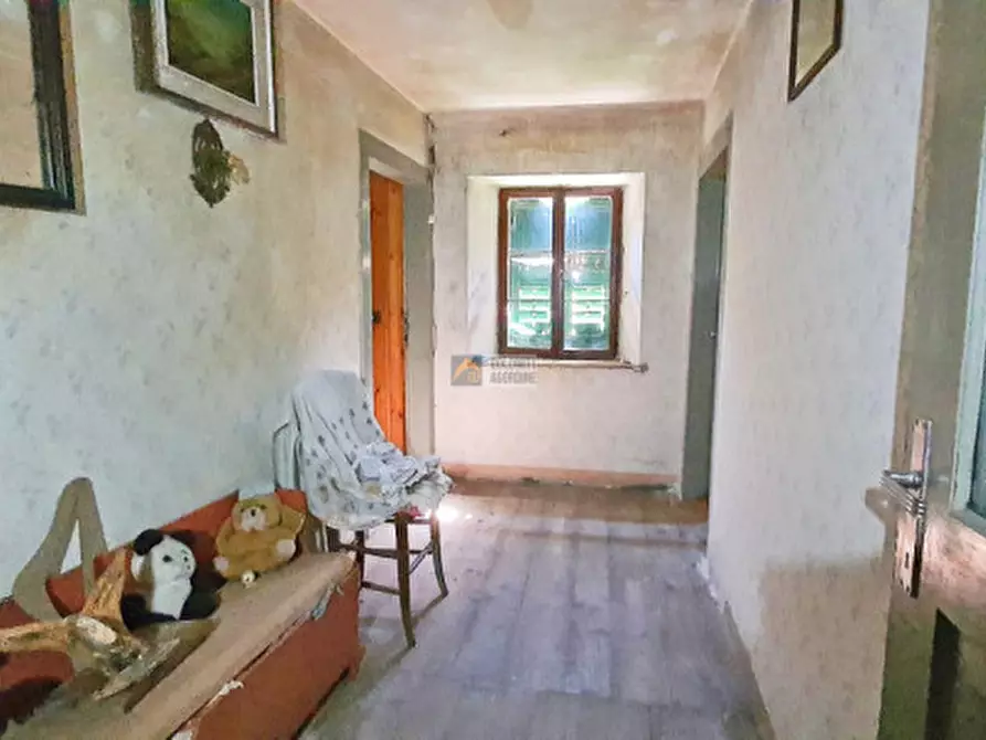 Immagine 5 di Appartamento in vendita  in Località Teli a Rivamonte Agordino