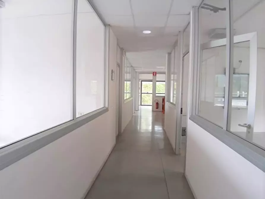 Immagine 2 di Ufficio in affitto  in levane a Montevarchi