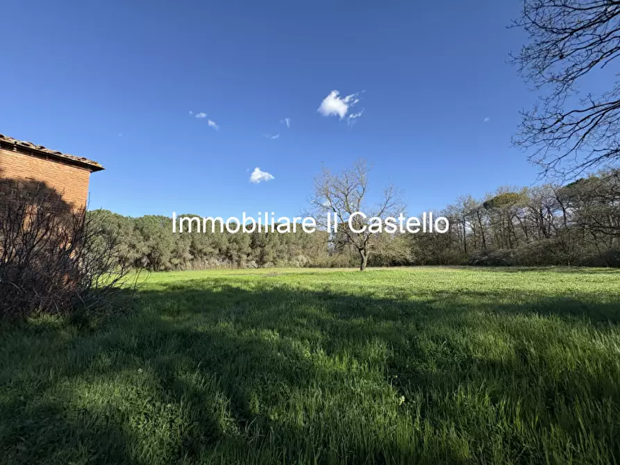 Immagine 8 di Rustico / casale in vendita  in località Albarelli a Castiglione Del Lago