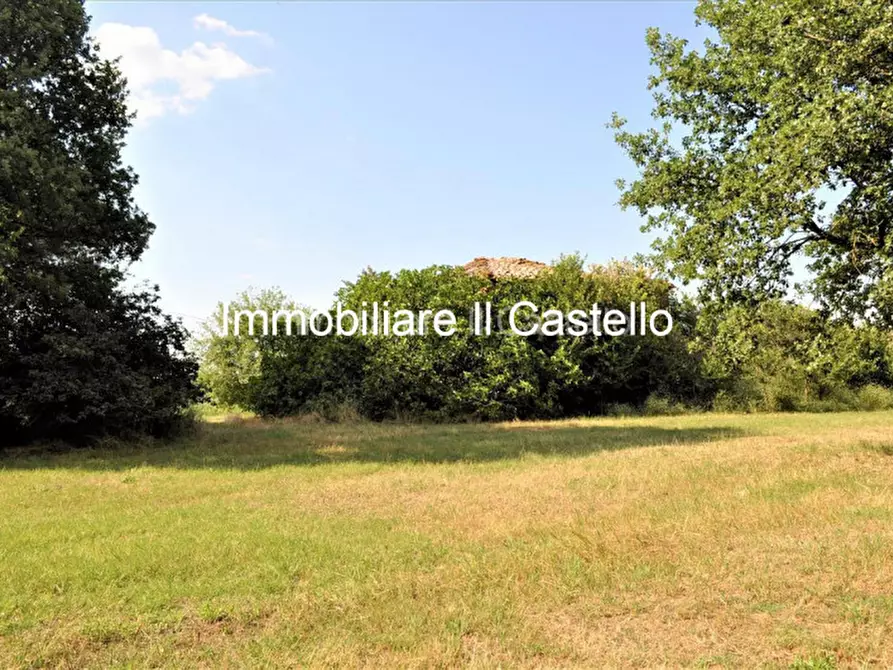 Immagine 11 di Rustico / casale in vendita  in località Albarelli a Castiglione Del Lago