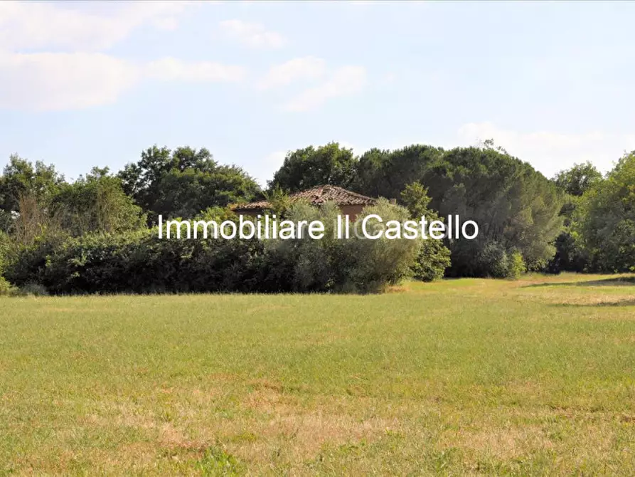 Immagine 13 di Rustico / casale in vendita  in località Albarelli a Castiglione Del Lago