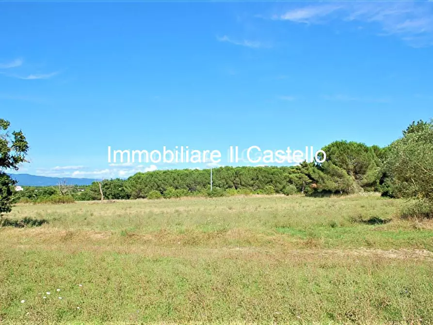 Immagine 14 di Rustico / casale in vendita  in località Albarelli a Castiglione Del Lago