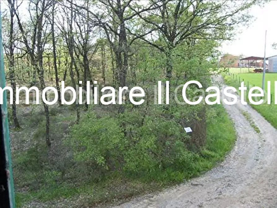 Immagine 23 di Rustico / casale in vendita  in località Albarelli a Castiglione Del Lago