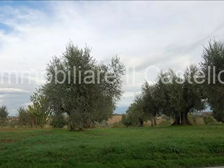 Immagine 1 di Terreno in vendita  a Castiglione Del Lago