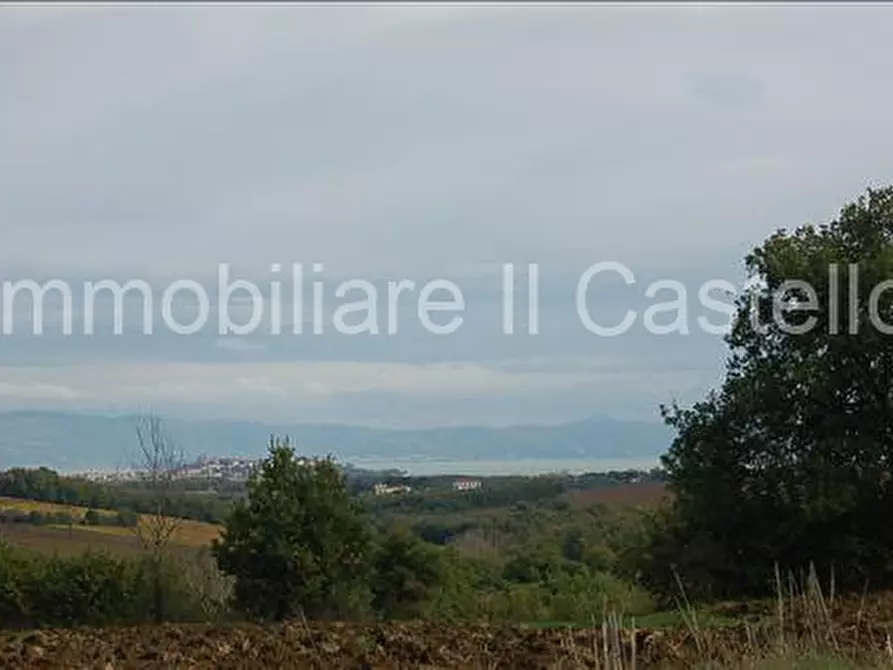 Immagine 3 di Terreno in vendita  a Castiglione Del Lago