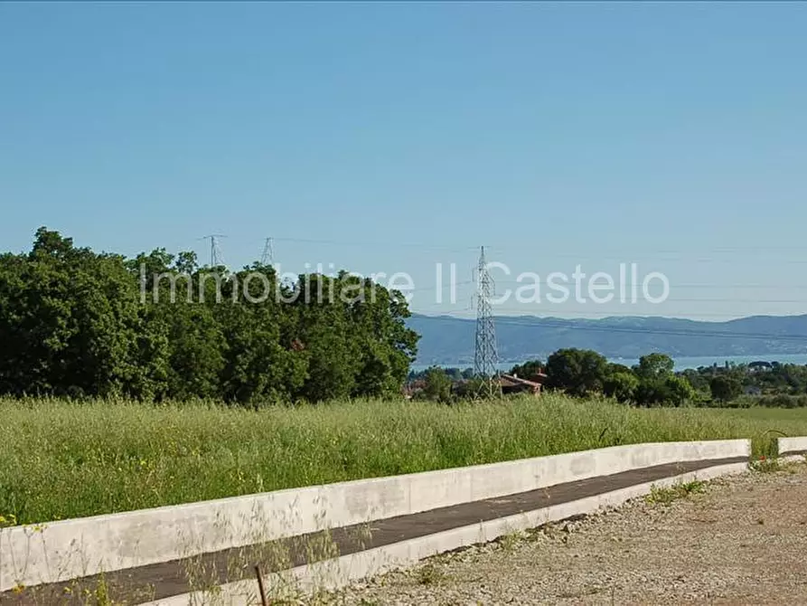 Immagine 2 di Terreno in vendita  a Castiglione Del Lago