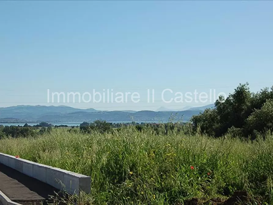 Immagine 3 di Terreno in vendita  a Castiglione Del Lago
