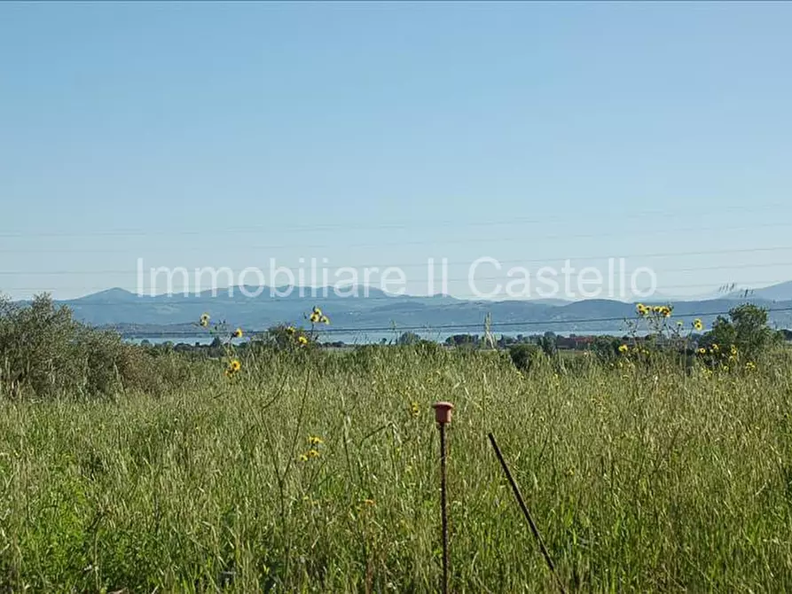 Immagine 4 di Terreno in vendita  a Castiglione Del Lago