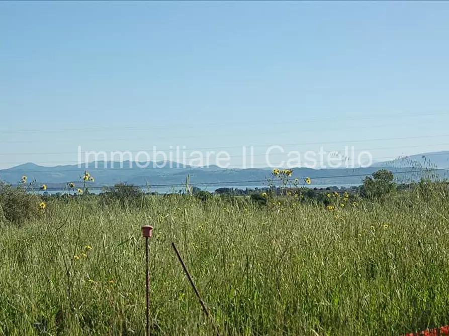 Immagine 5 di Terreno in vendita  a Castiglione Del Lago