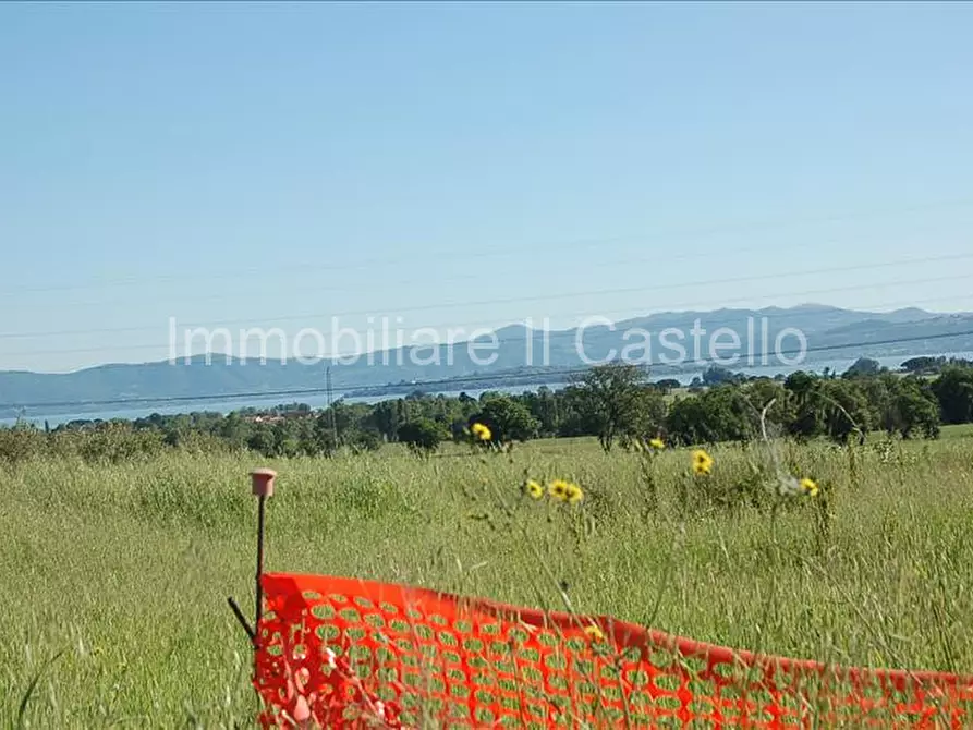 Immagine 6 di Terreno in vendita  a Castiglione Del Lago