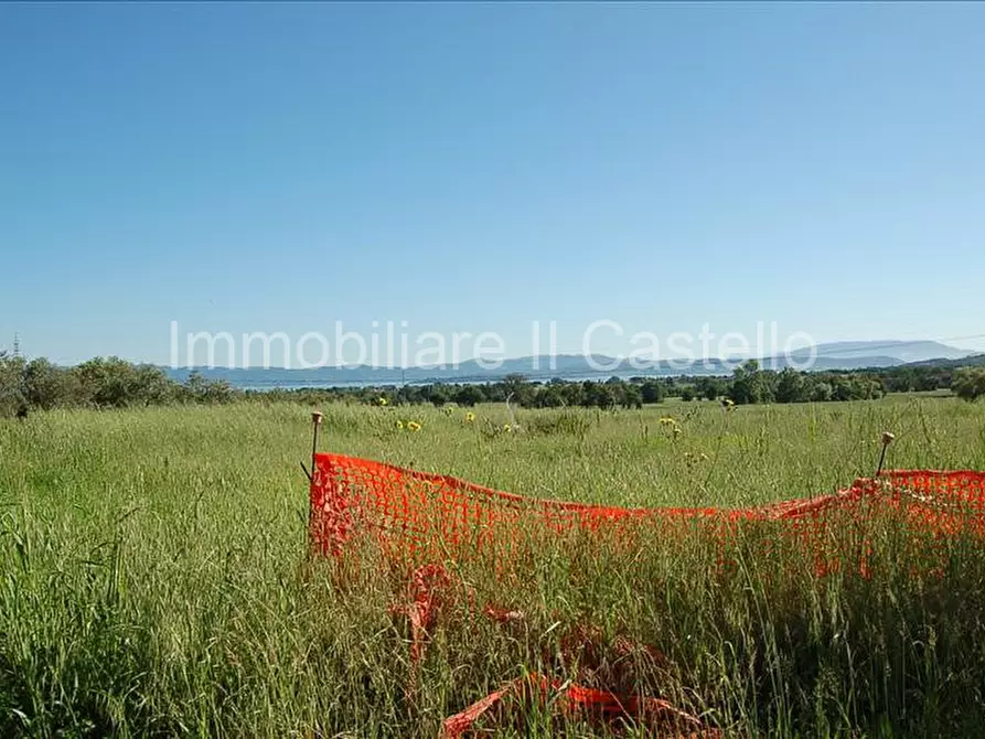 Immagine 7 di Terreno in vendita  a Castiglione Del Lago