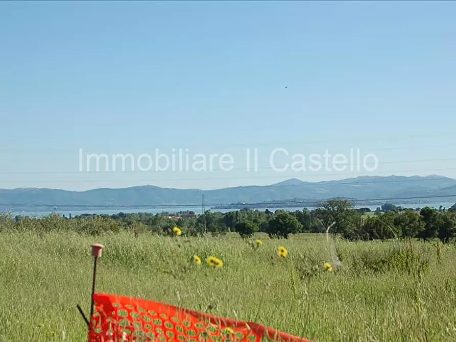 Immagine 8 di Terreno in vendita  a Castiglione Del Lago
