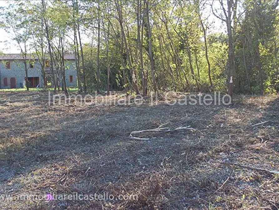Immagine 13 di Terreno in vendita  a Tuoro Sul Trasimeno