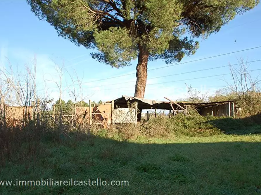 Immagine 5 di Villetta a schiera in vendita  in Loc. Pineta a Castiglione Del Lago
