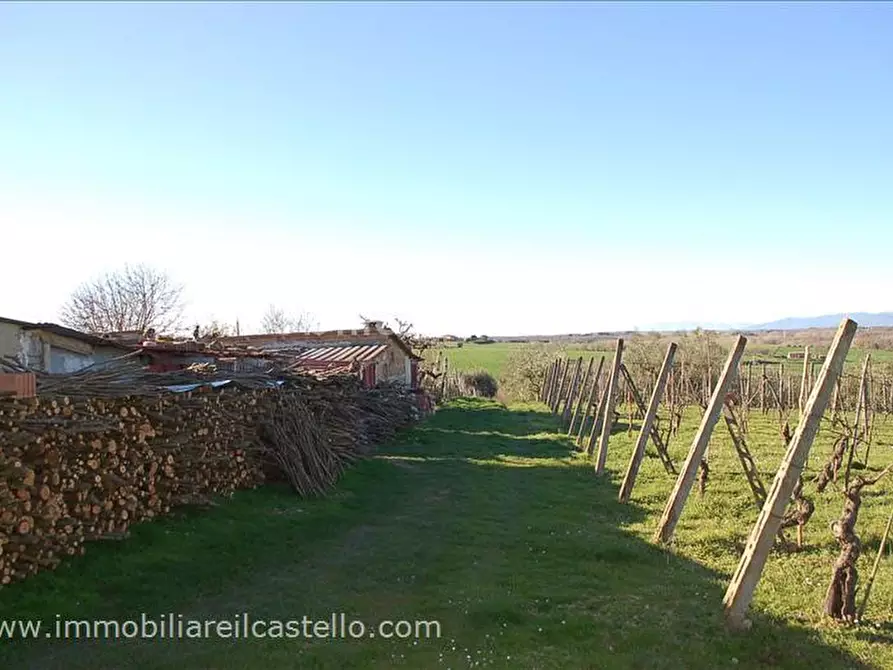 Immagine 10 di Villetta a schiera in vendita  a Castiglione Del Lago