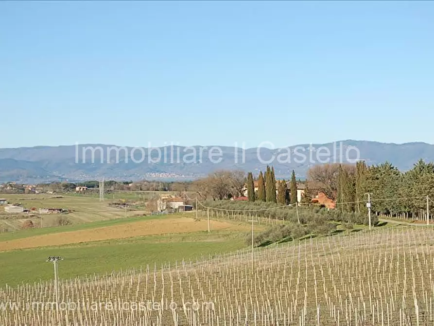 Immagine 13 di Villetta a schiera in vendita  a Castiglione Del Lago