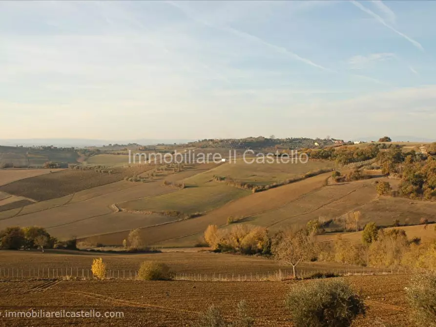 Immagine 2 di Terreno in vendita  in la villa a Castiglione Del Lago
