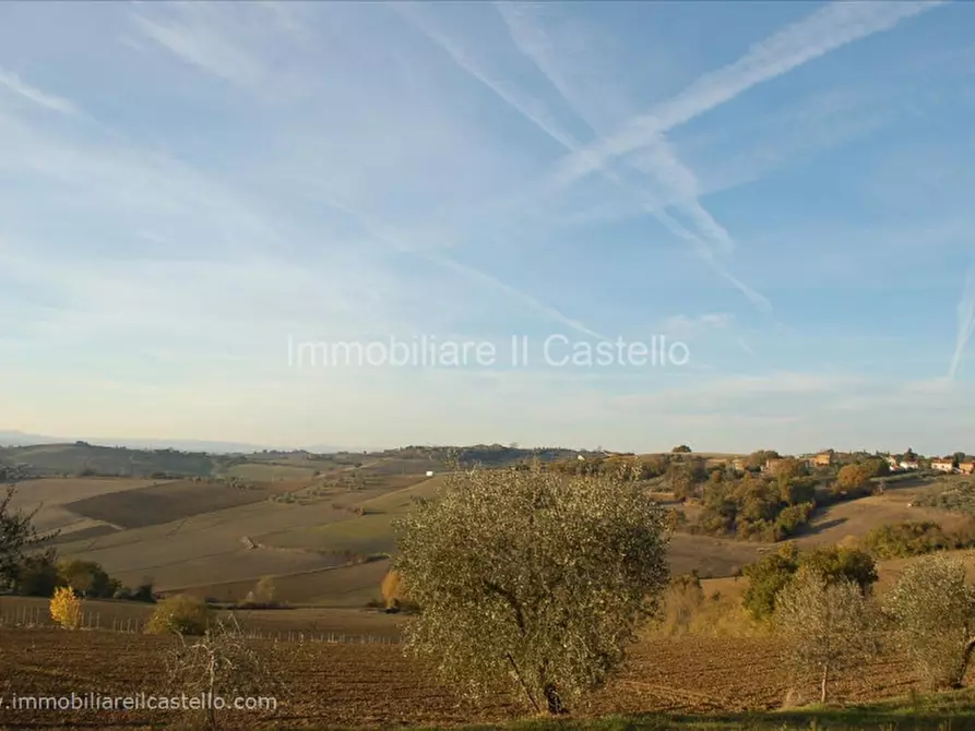 Immagine 5 di Terreno in vendita  in la villa a Castiglione Del Lago