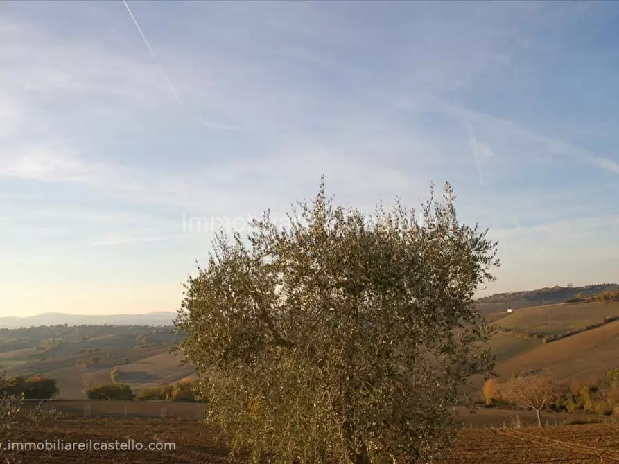 Immagine 9 di Terreno in vendita  in la villa a Castiglione Del Lago