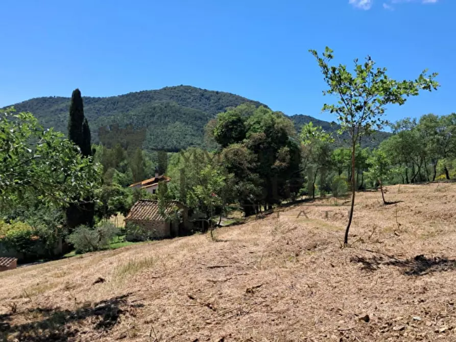 Immagine 13 di Rustico / casale in vendita  in via dei Mandorli a Panicale
