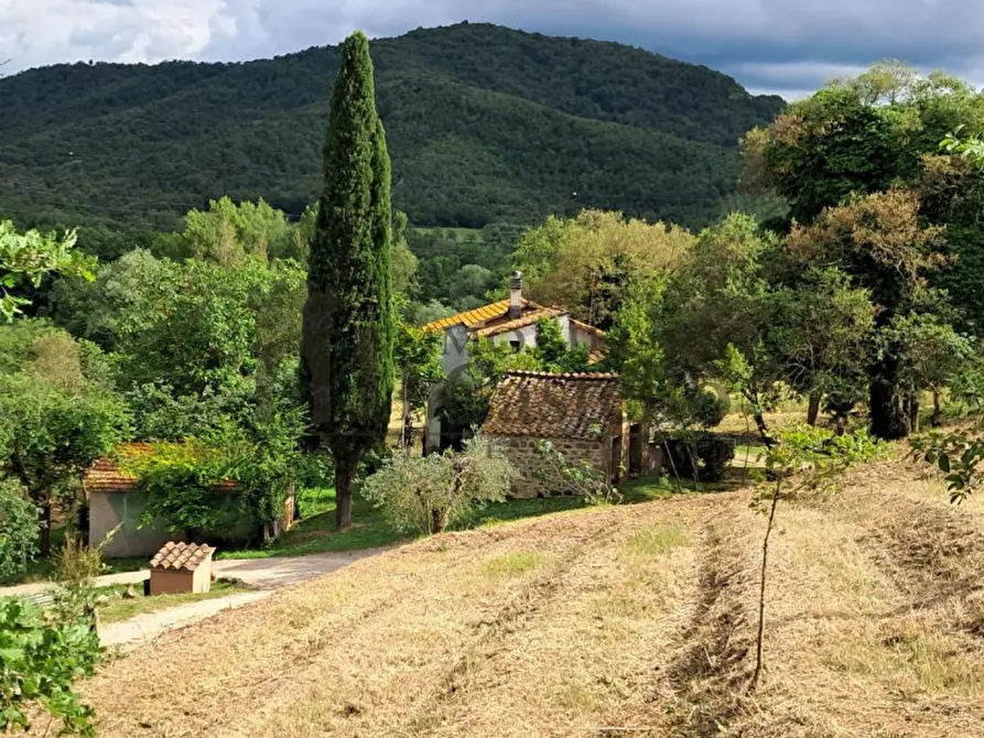 Immagine 15 di Rustico / casale in vendita  in via dei Mandorli a Panicale