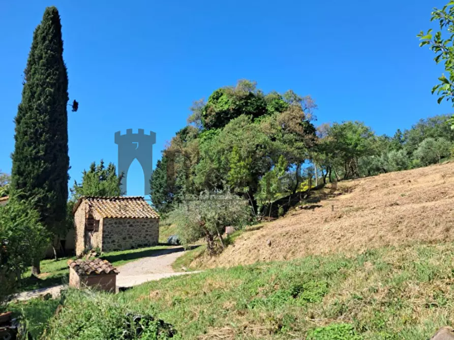 Immagine 21 di Rustico / casale in vendita  in via dei Mandorli a Panicale