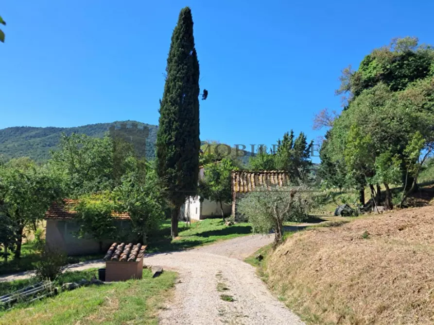 Immagine 22 di Rustico / casale in vendita  in via dei Mandorli a Panicale