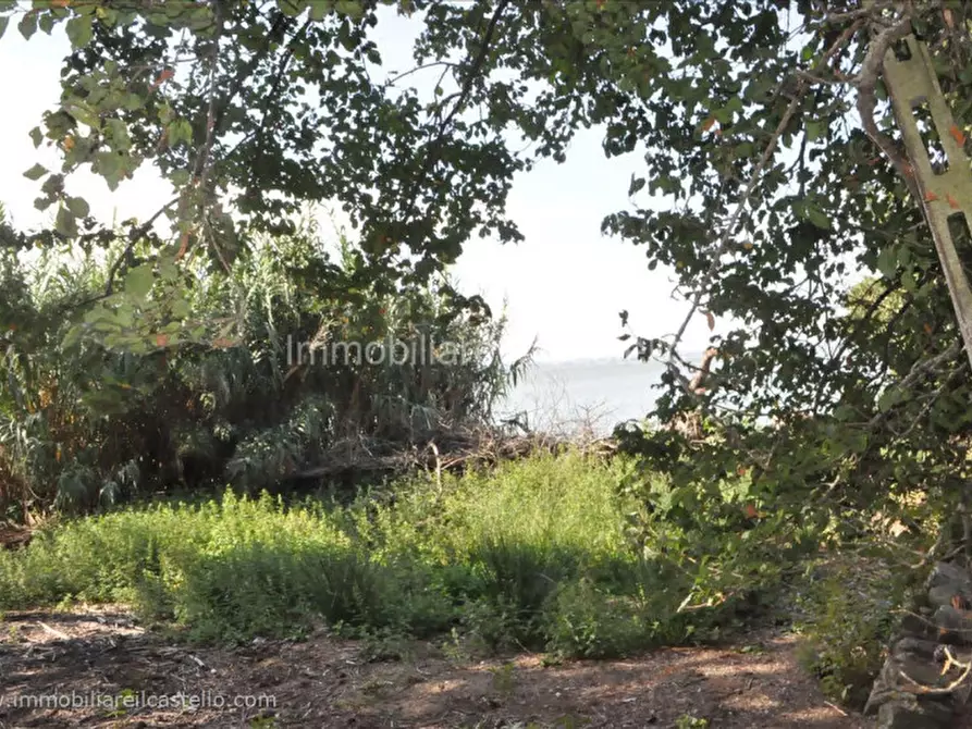 Immagine 24 di Villetta a schiera in vendita  in via guglielmi a Tuoro Sul Trasimeno