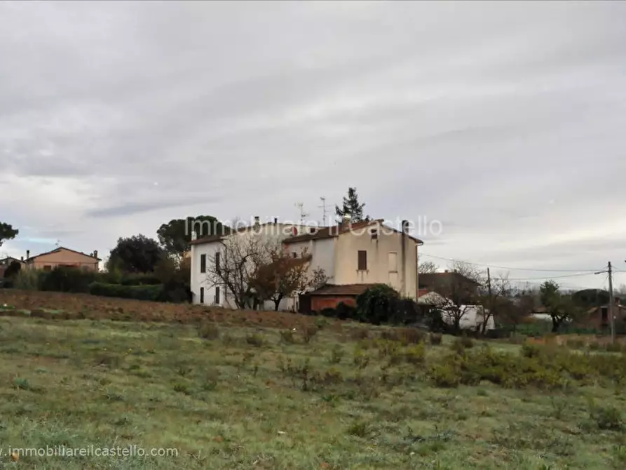 Immagine 6 di Terreno in vendita  a Castiglione Del Lago