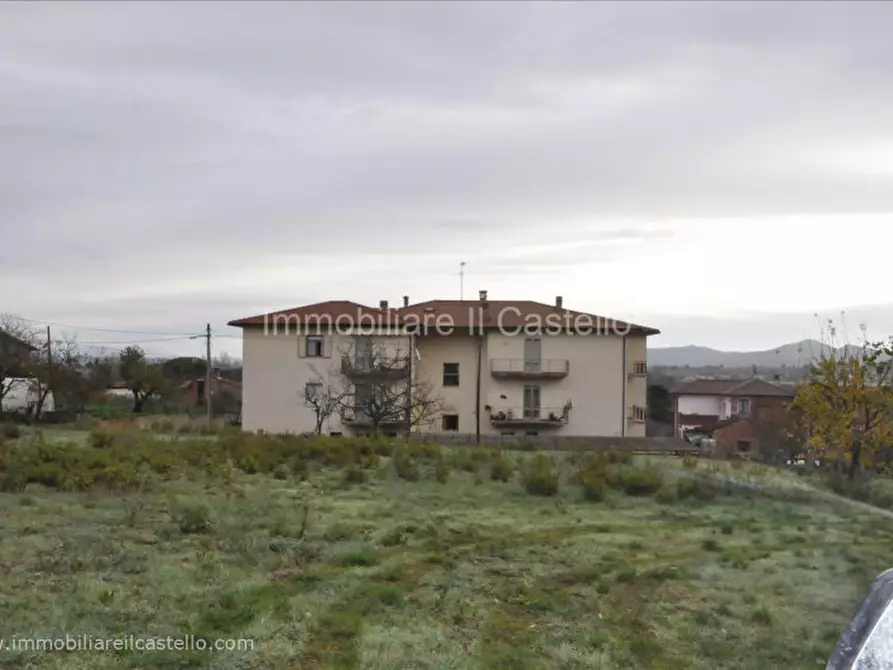 Immagine 7 di Terreno in vendita  a Castiglione Del Lago