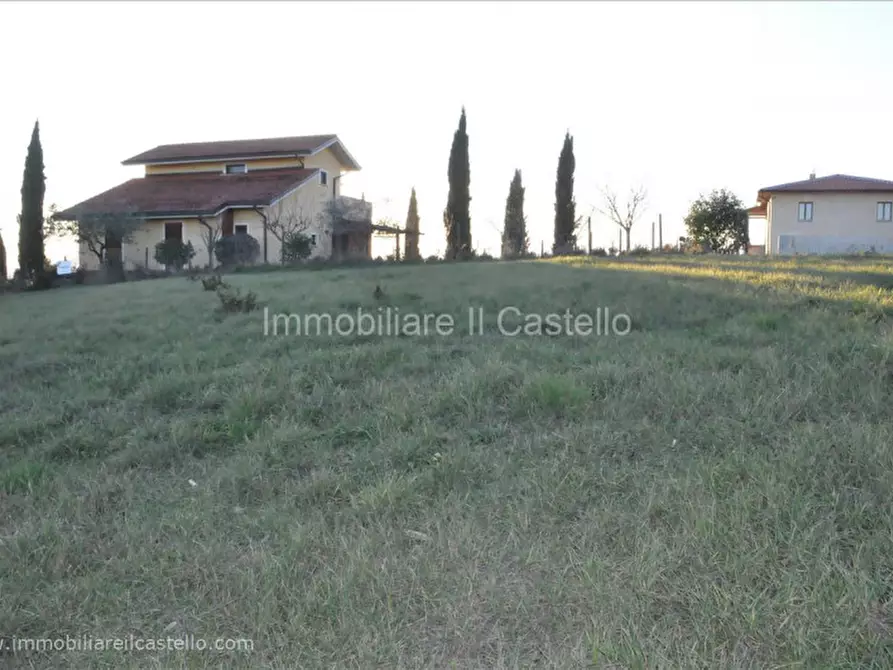 Immagine 4 di Terreno in vendita  a Castiglione Del Lago