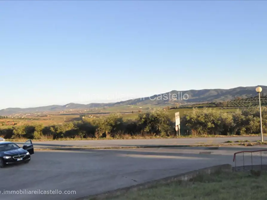 Immagine 5 di Terreno in vendita  a Castiglione Del Lago