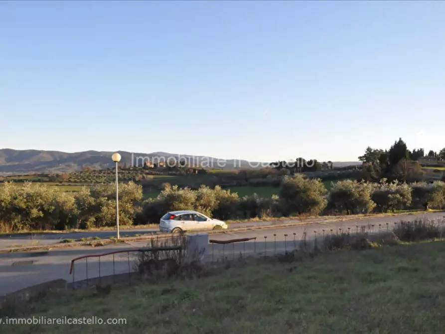 Immagine 6 di Terreno in vendita  a Castiglione Del Lago