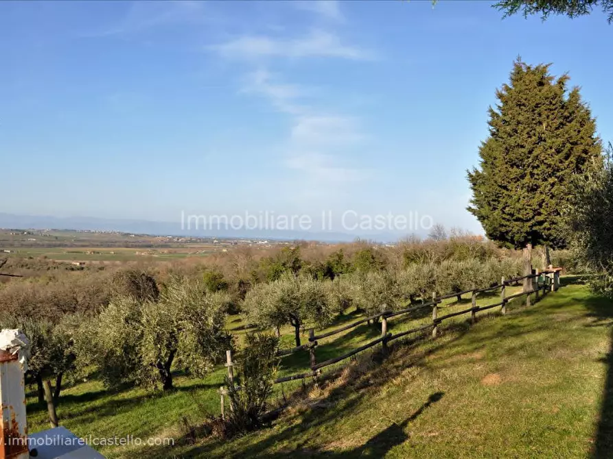 Immagine 2 di Villetta a schiera in vendita  in Vocabolo Le Balze a Paciano