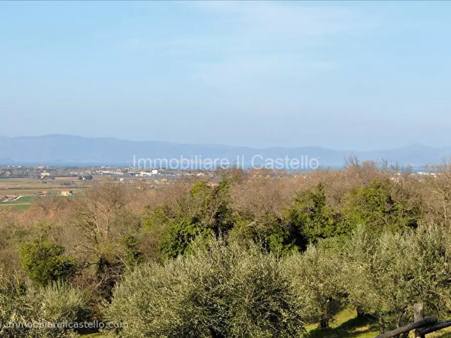 Immagine 3 di Villetta a schiera in vendita  in Vocabolo Le Balze a Paciano