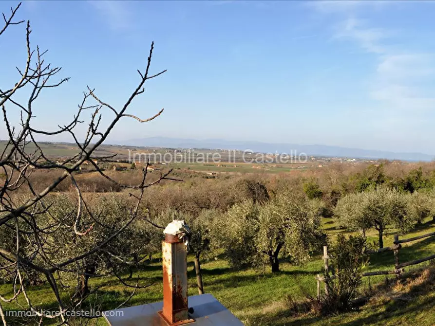 Immagine 4 di Villetta a schiera in vendita  in Vocabolo Le Balze a Paciano