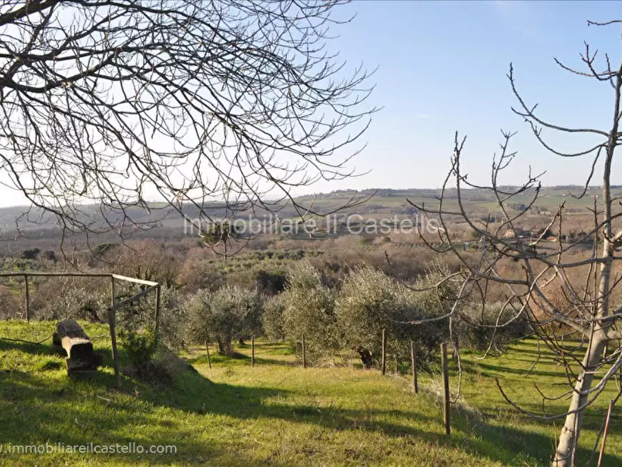 Immagine 5 di Villetta a schiera in vendita  in Vocabolo Le Balze a Paciano