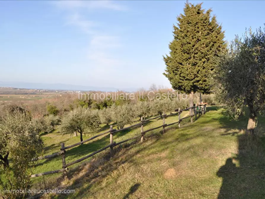 Immagine 6 di Villetta a schiera in vendita  in Vocabolo Le Balze a Paciano