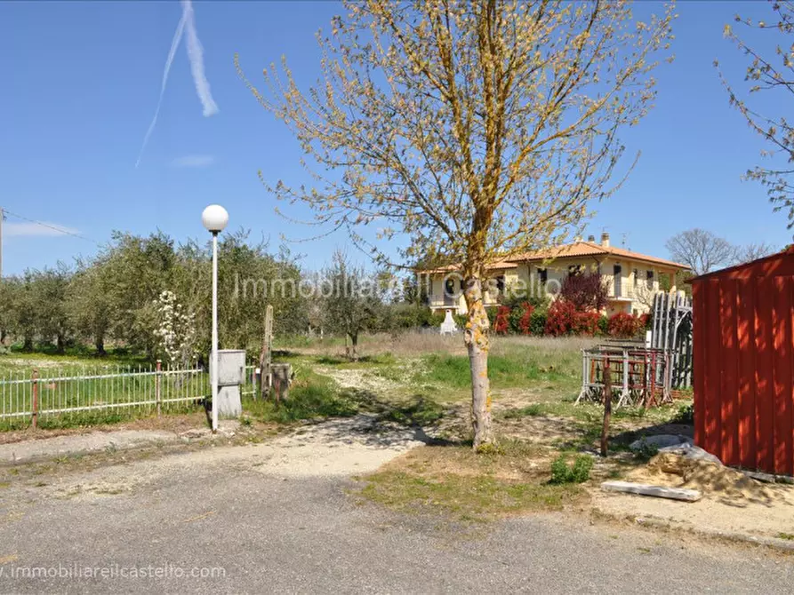 Immagine 2 di Terreno in vendita  a Castiglione Del Lago
